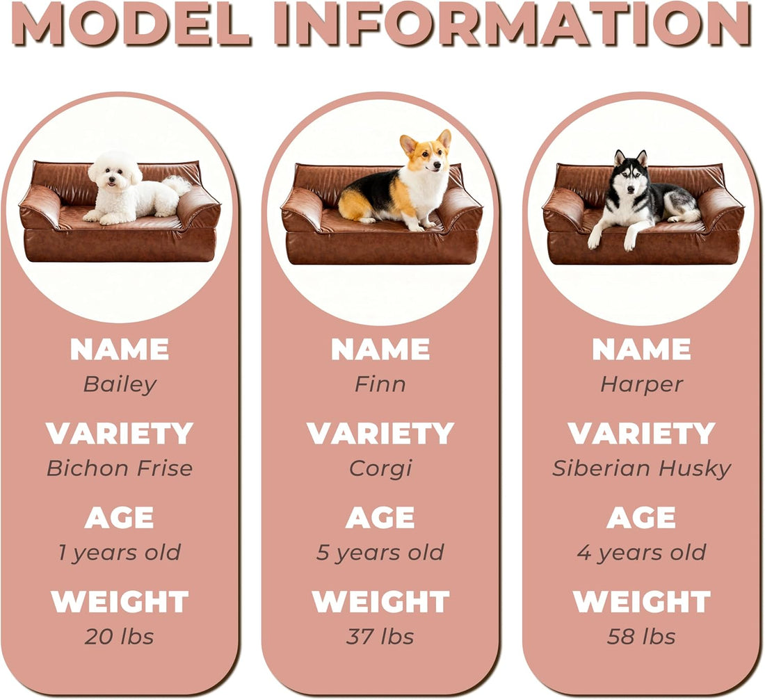Large Leather Dog Sofa Pet Couch Bed for Medium and Large Dogs Under