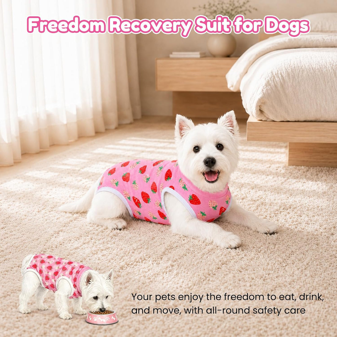 Surgery Suit for Female Dog After Spaying with Back Zipper