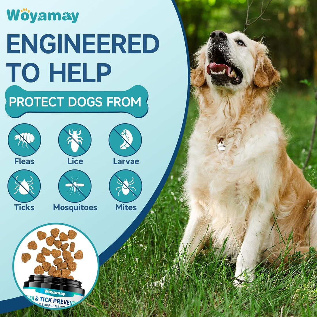 Flea and Tick Prevention Chews Bundle for Cats & Dogs