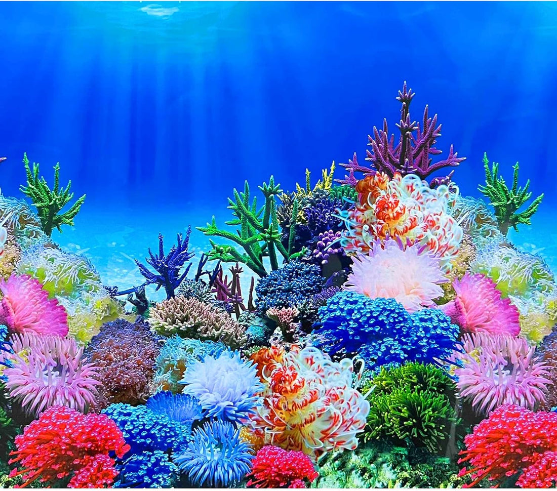 XCNO Aquarium Background Poster Fish Tank Wallpaper, Double-Sided
