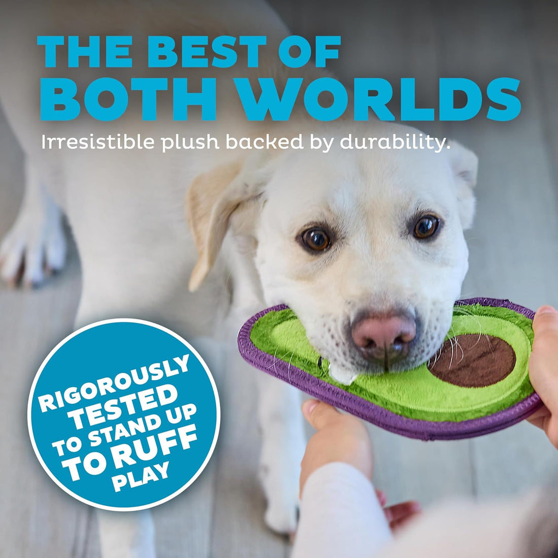 Outward Hound Tough Skinz Durable Chew Plush Squeaky Dog Toy, Avocado