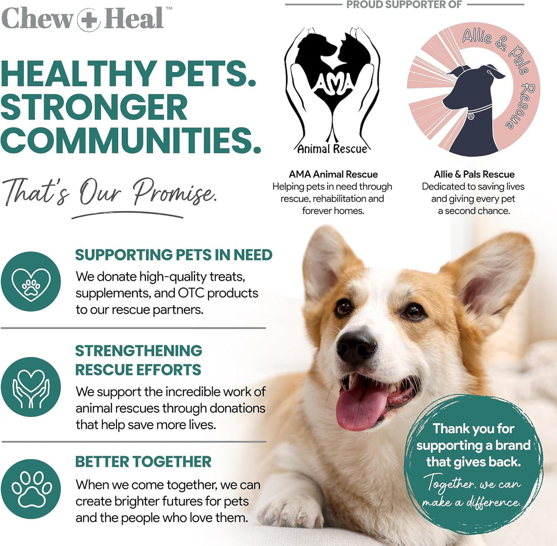 Dog Multivitamin Chewable - Chew + Heal 12-in-1, 60 Ct, Puppy