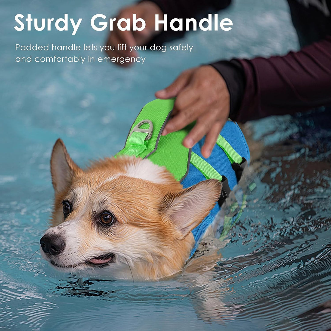 Petglad Dog Life Jacket with Handle Adjustable Swim Vest, Blue & Green
