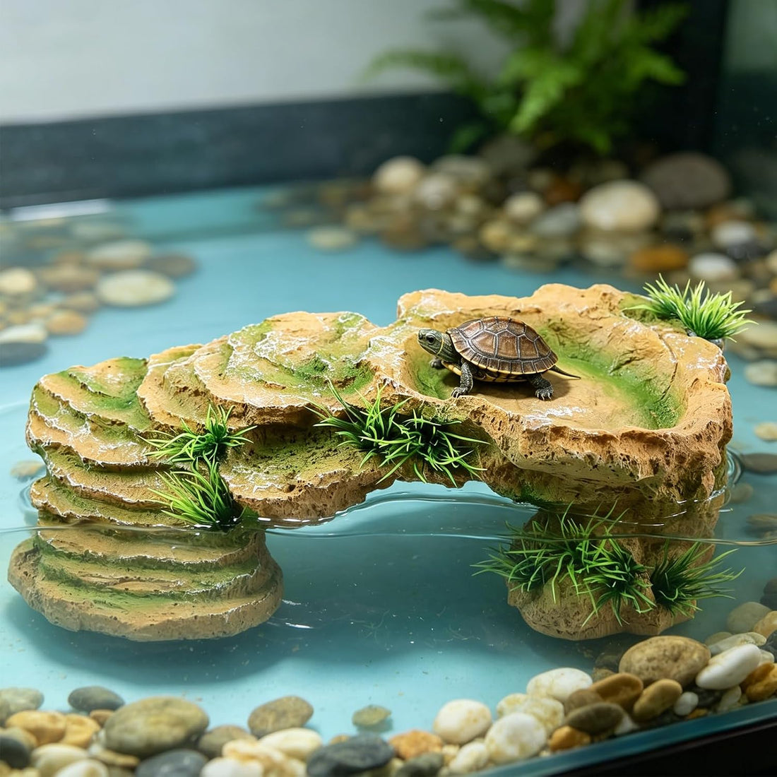 Turtle Docks for Basking Reptile Rock Cave Hideout