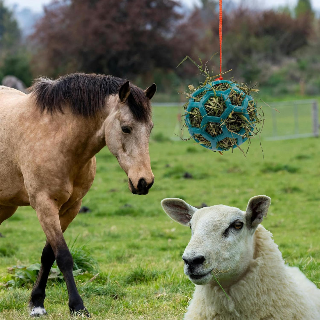 mayoken® 4 Pack Harden Horse Treat Ball Hay Feeder Toy