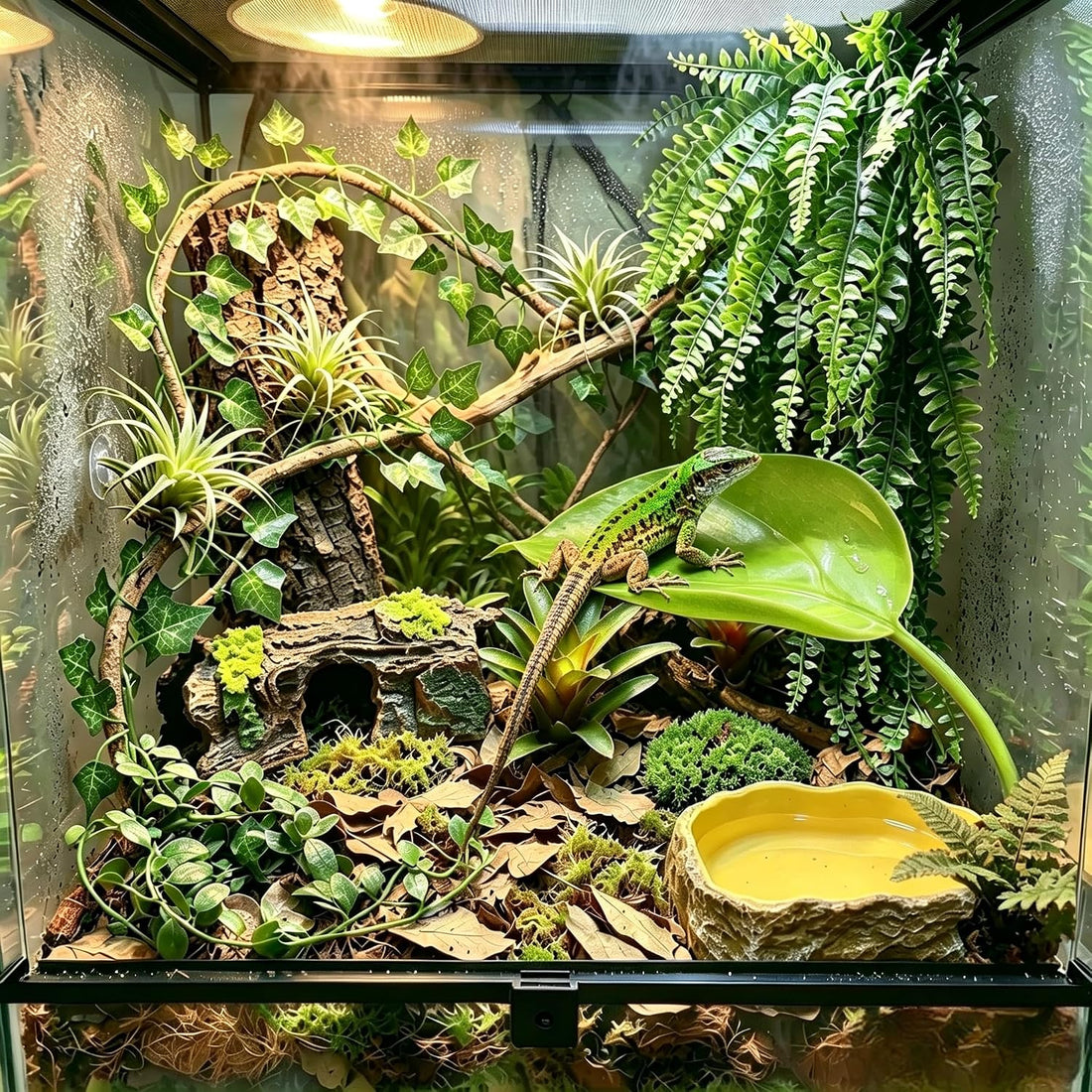 Bearded Dragon Tank Accessories, Terrarium Decor, Ball Python