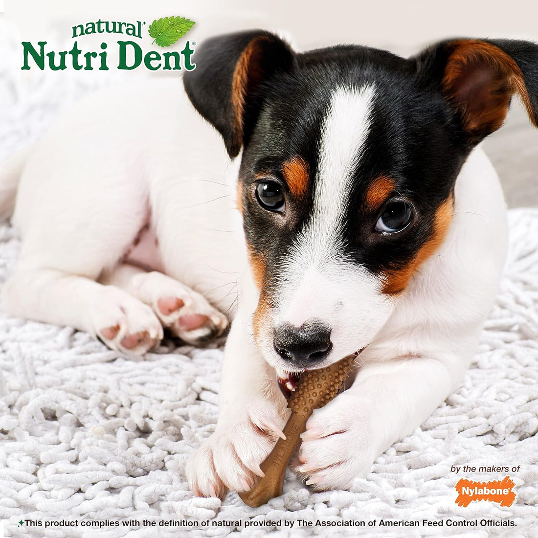 Nylabone Nutri Dent Dog Dental Chews