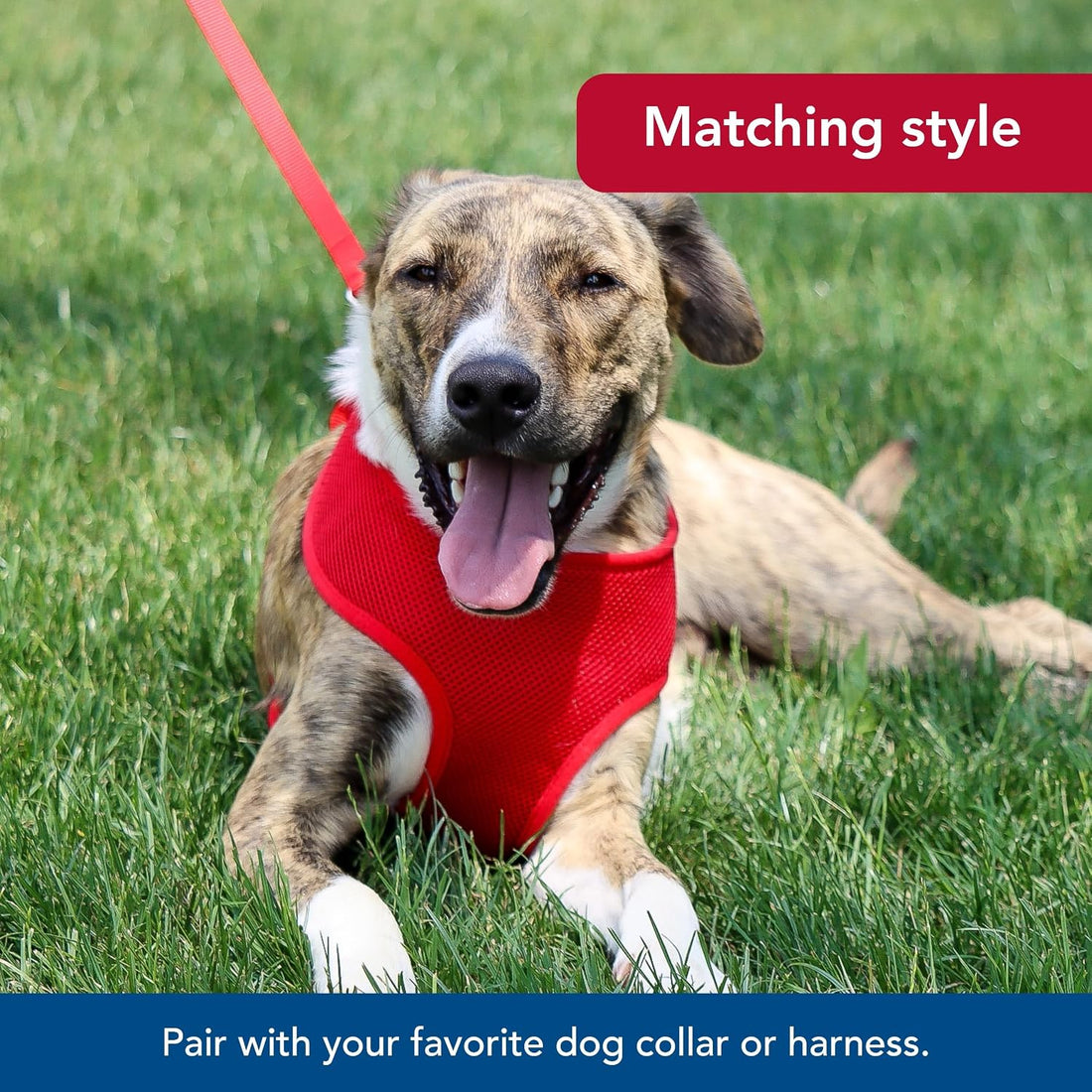 Coastal Pet Single-Ply Dog Leash - Sturdy Pet Leash