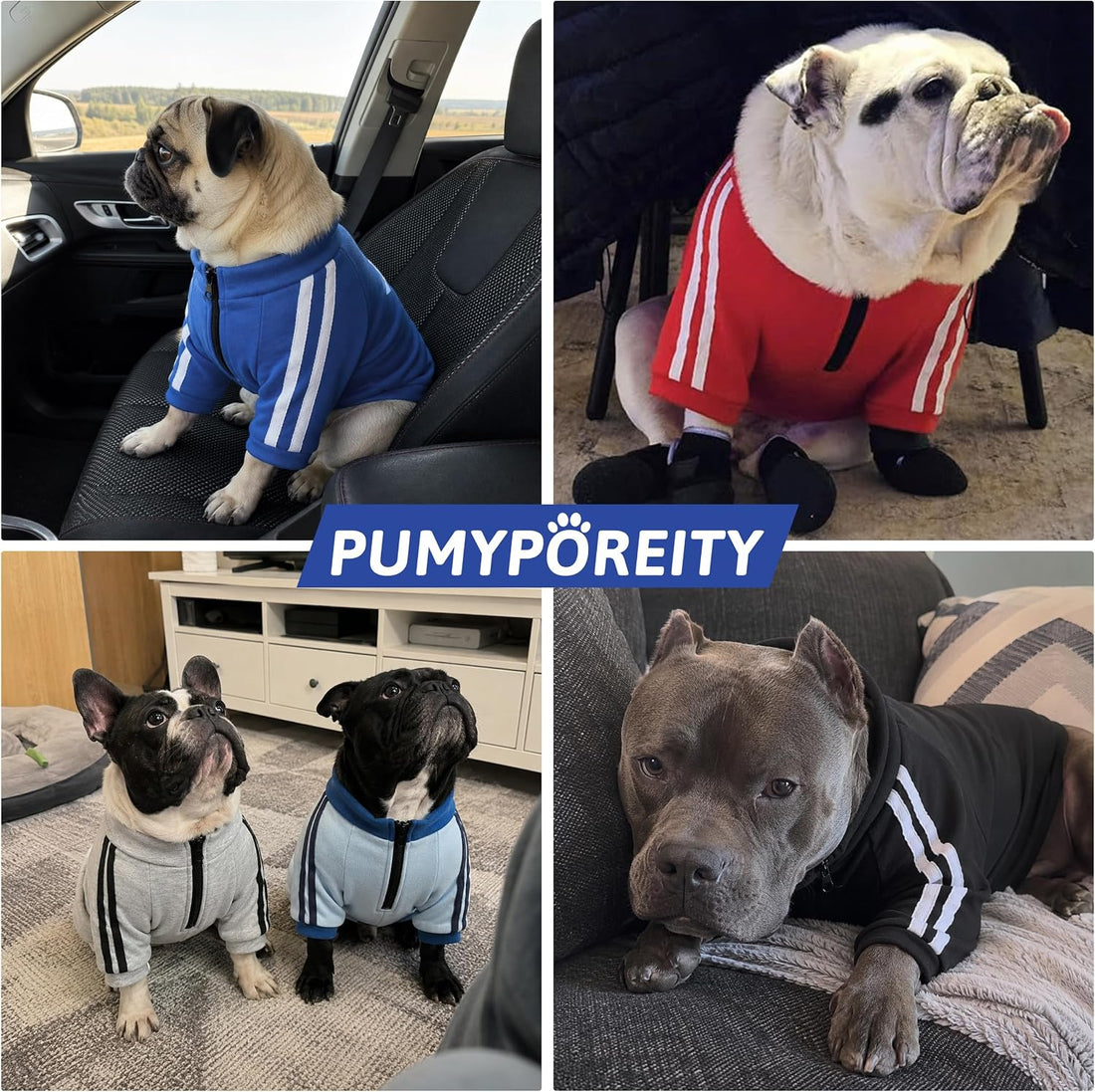 PUMYPOREITY Bulldog Sweatshirt for Broad-Chested Dogs, Blue, L