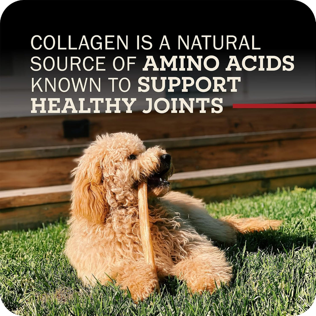 Redbarn Collagen Slims 100% Natural Beef Dog Chew, Single Ingredient