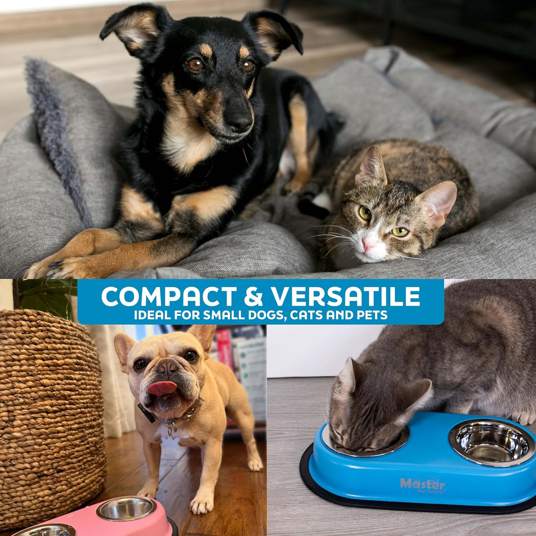 Master Pet Supply Double Dog Bowls Set with Elevated Base