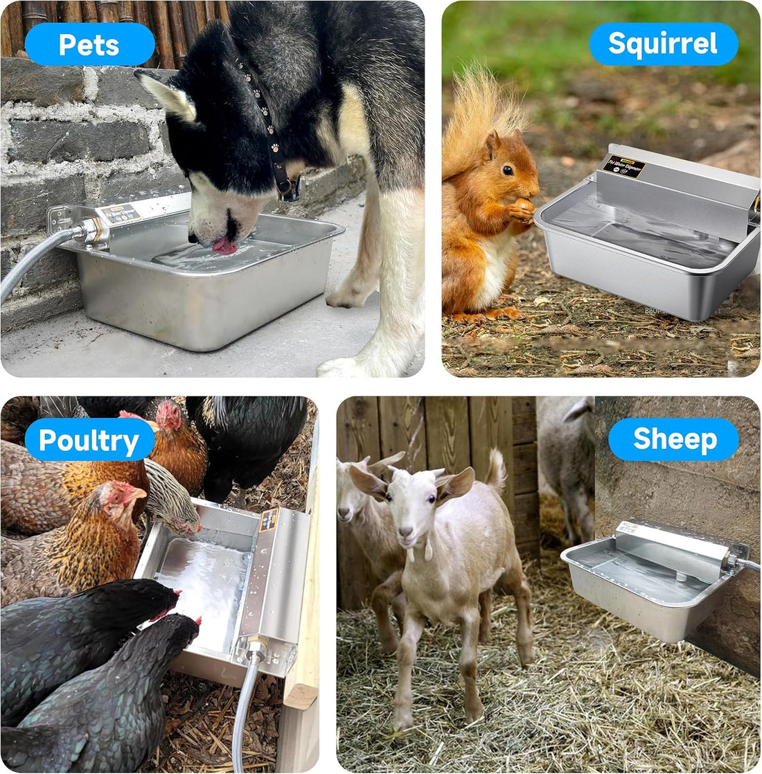 PETSOLON Automatic Water Dispenser for Dogs