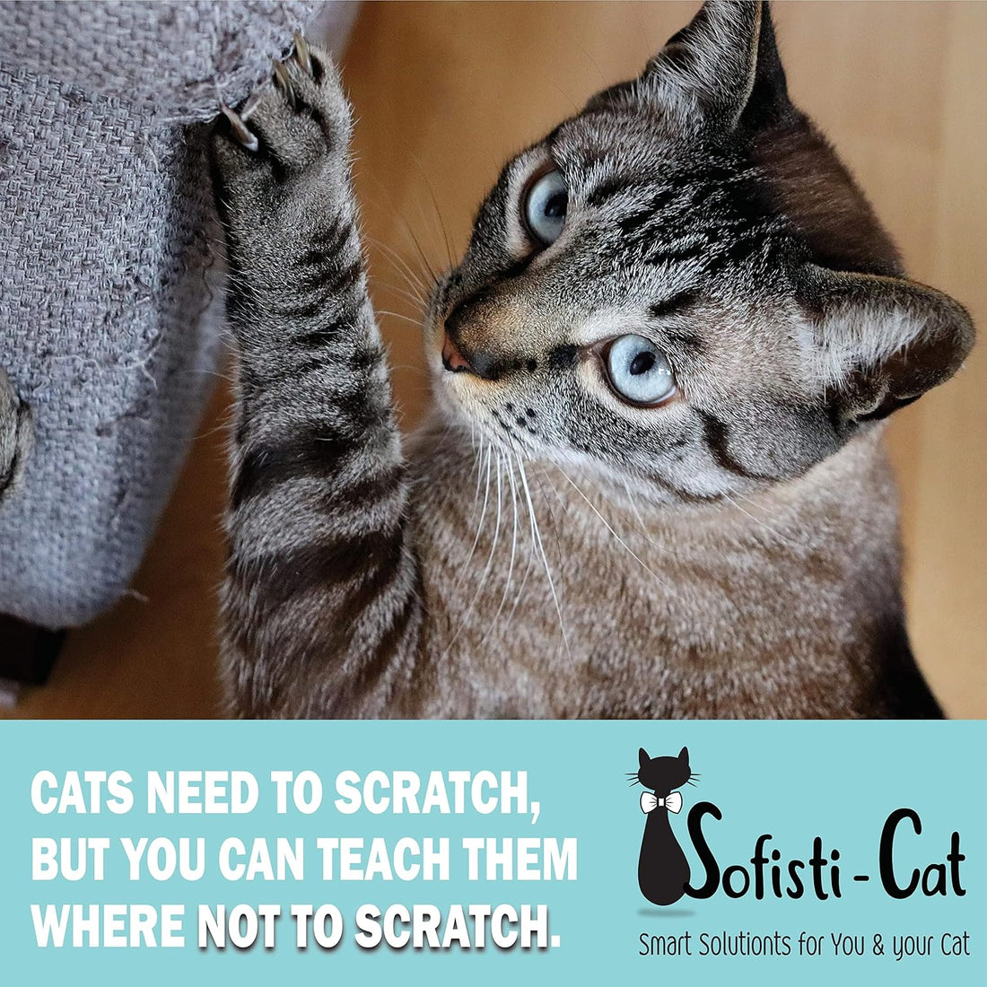Sofisti-Cat Training Tape, Cat Tape for Furniture