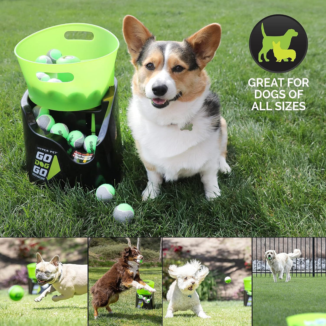 Hyper Pet GoDogGo Automatic Dog Ball Launcher, Includes 5 Balls