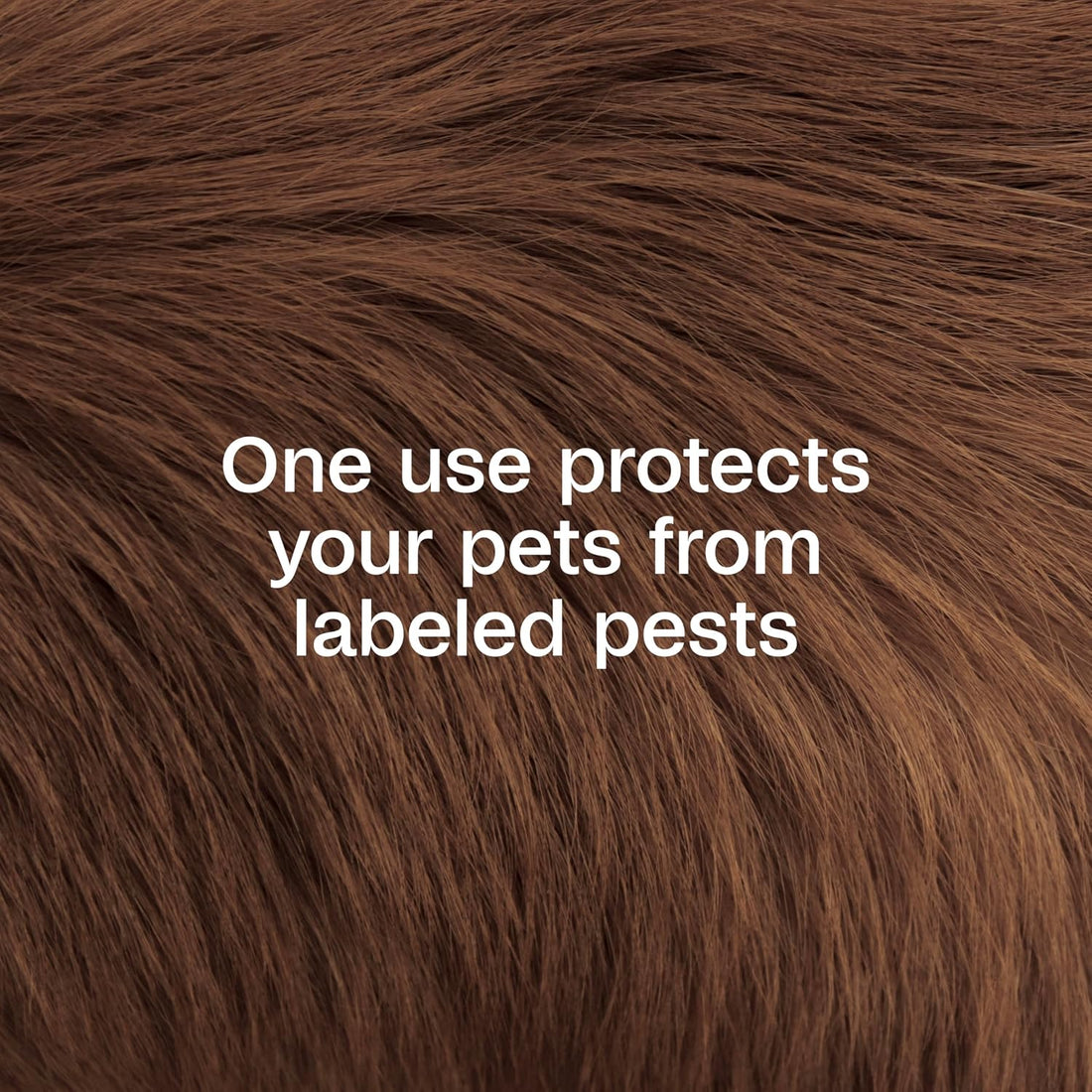 ADAMS Plus Pyrethrin Flea Dip for Dogs and Cats