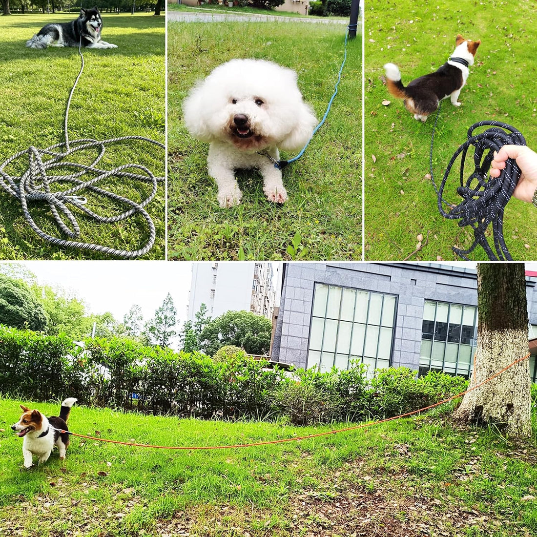 15/20/40/60/75FT Long Dog Tether, Tie Out Rope Dog Lead for Yard