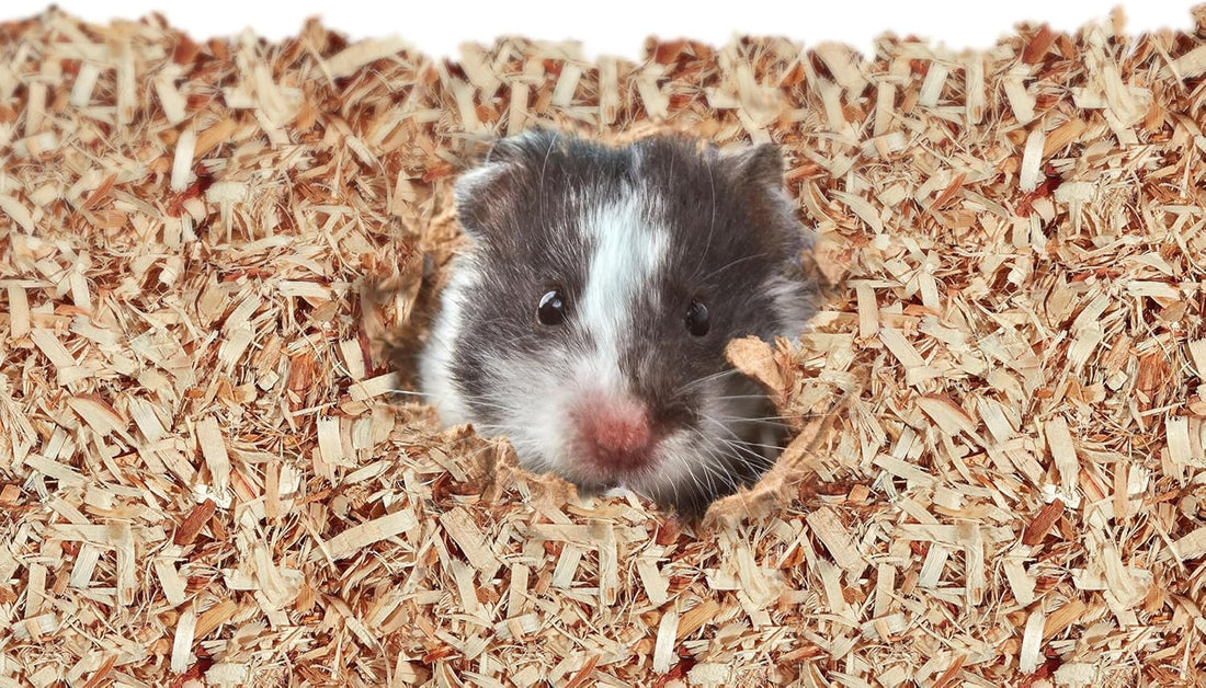 Kaytee Aspen Bedding for Small Animals