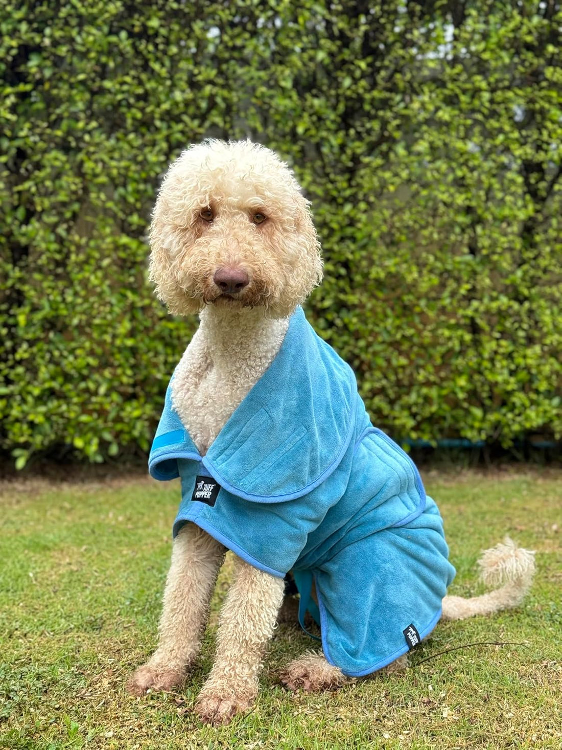 Tuff Pupper Fast Drying Dog Bath Robe