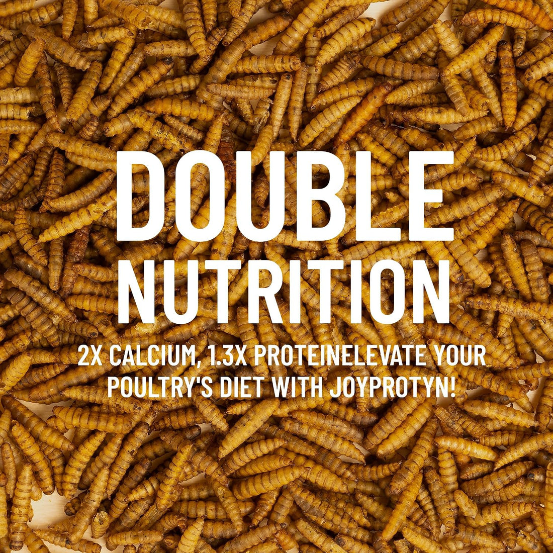 Joyprotyn 5LB Non-GMO Dried Black Soldier Fly Larvae for Chickens