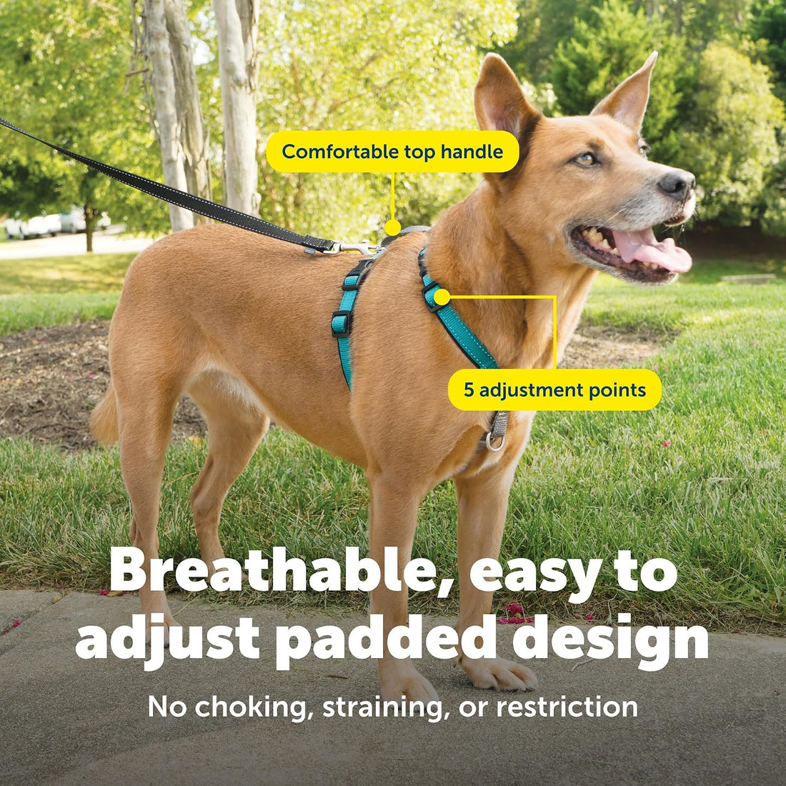 PetSafe 3 in 1 No-Pull Dog Harness - Walk, Train or Travel