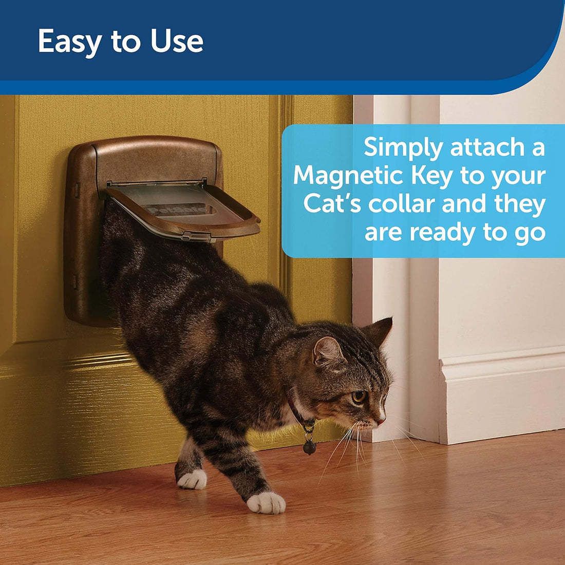 PetSafe, Staywell, Magnetic Collar Key 2 Pack, Selective Entry