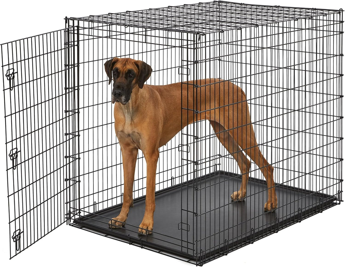 Solutions by Midwest 54-Inch Double Door Crate, Giant Breed Dogs