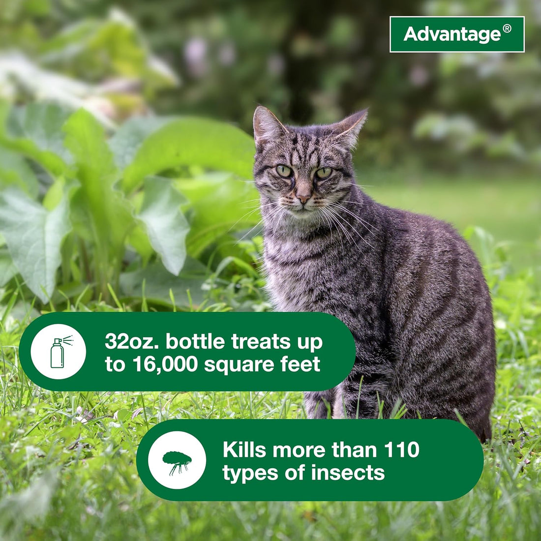 Advantage Yard, 32 oz.
