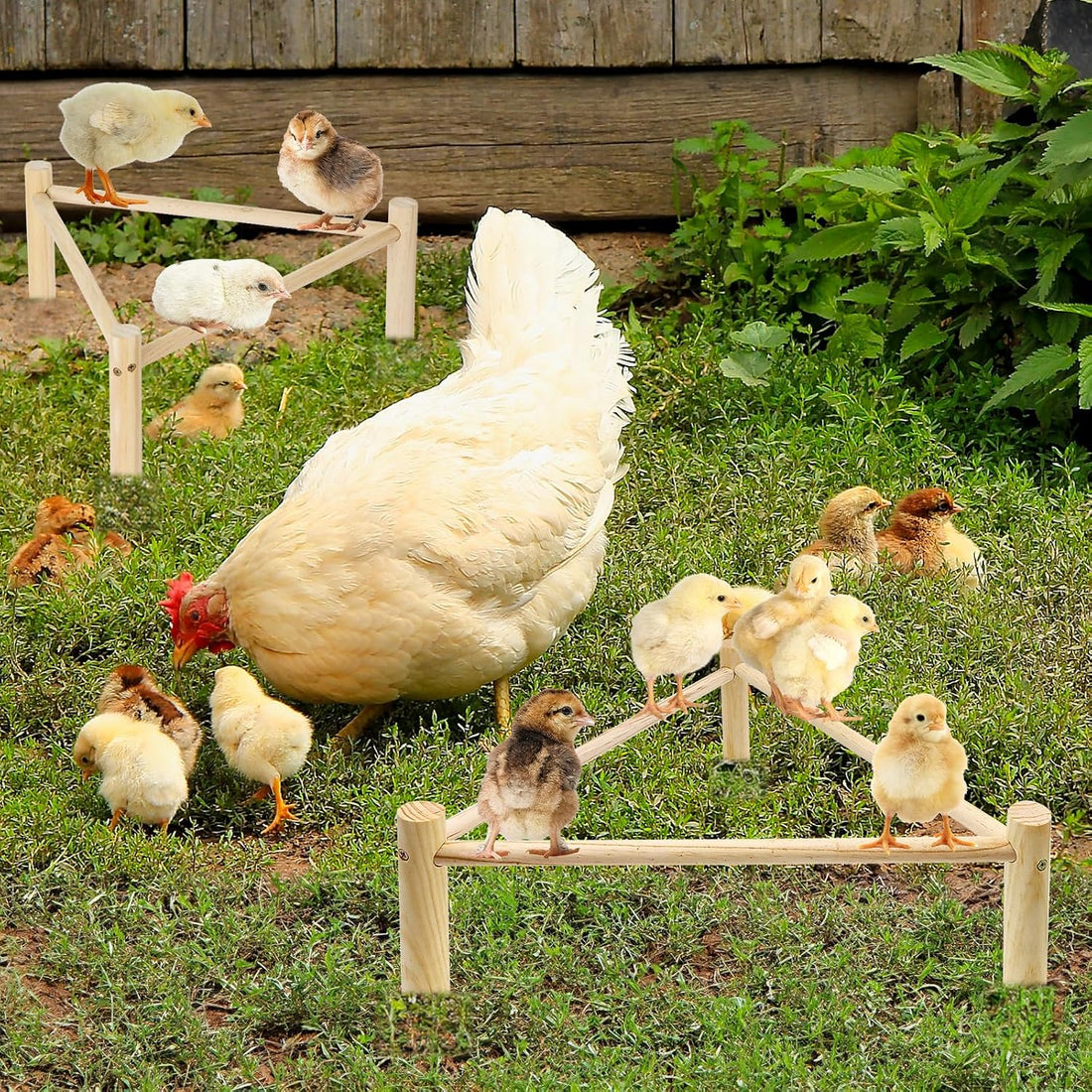 Chicken Perch for Coop & Brooder, Chicken Roosting Bars