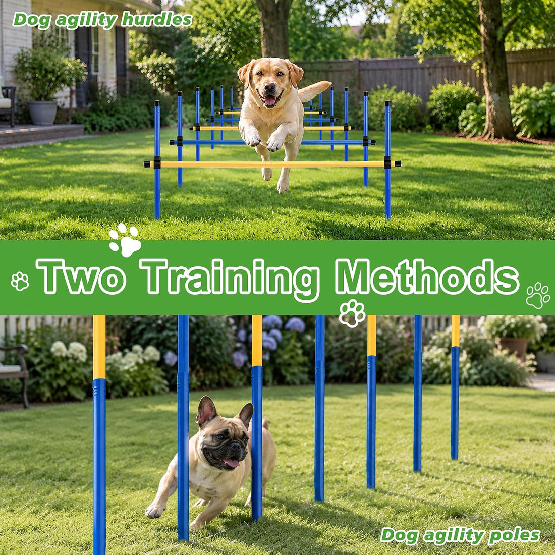 Dog Agility Equipment, Dog Agility Course Backyard Set