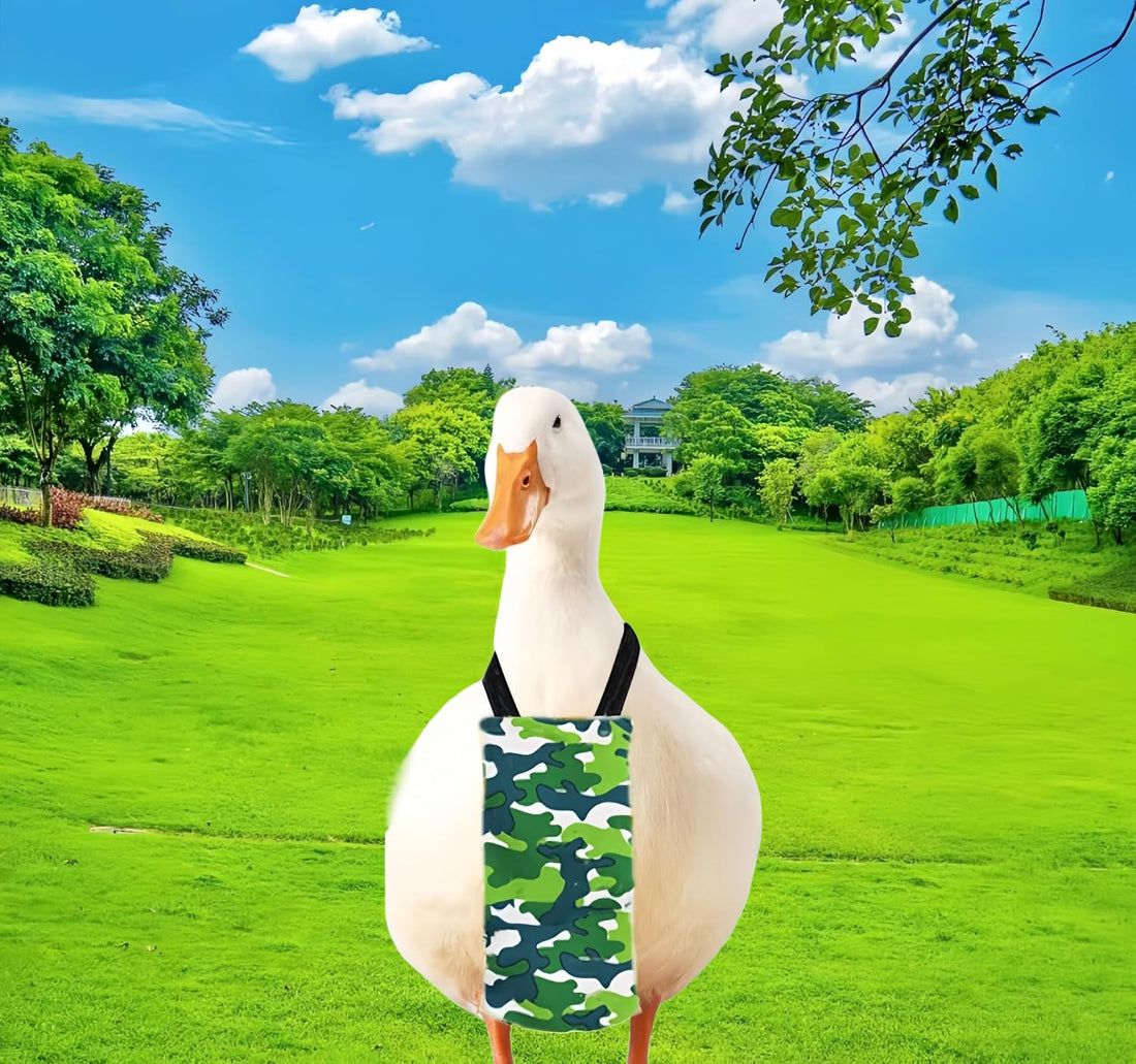 2 Pack Chicken Diapers for Hens, Roosters, Diapers for Ducks