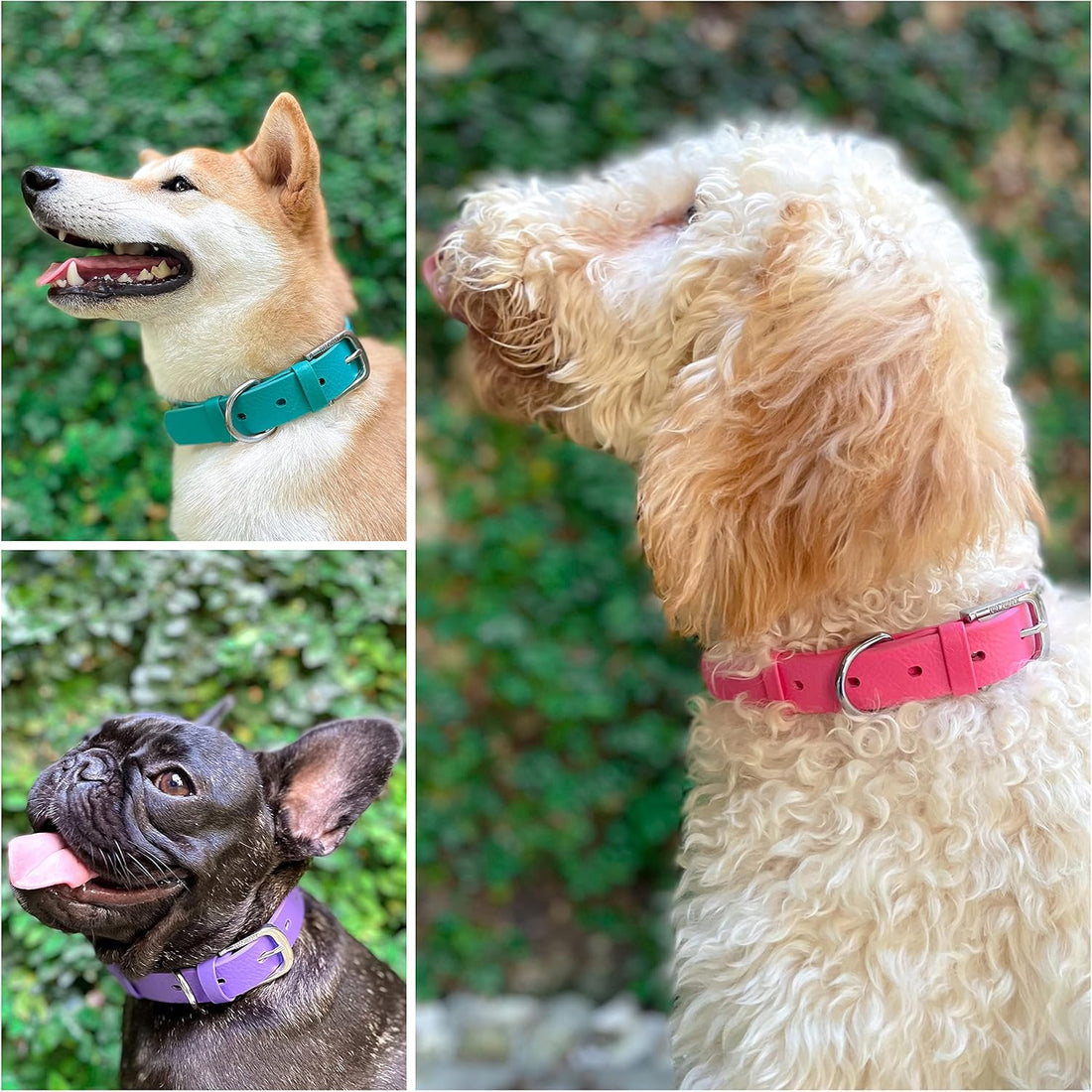 Tuff Pupper Classic Heavy Duty Dog Collar | 10x Stronger Than Leather