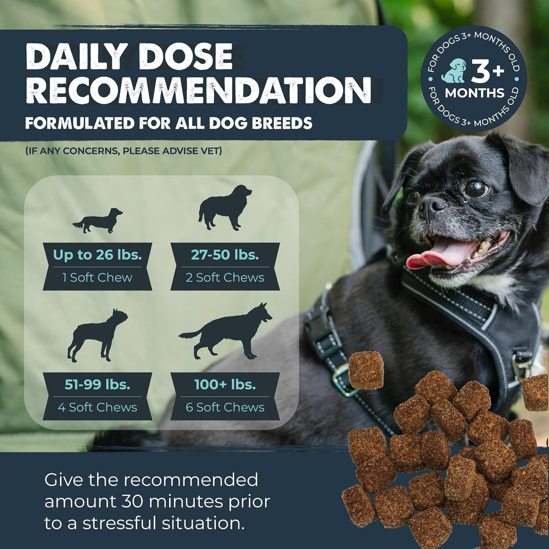 Mighty Paw Calming Chews for Dogs with Melatonin, Waggables, 120 Count