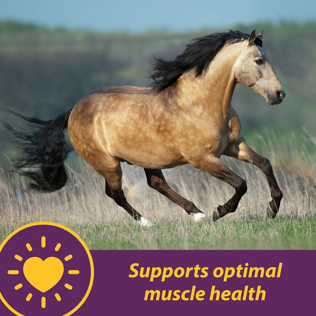 Horse Health Vita E & Selenium Crumbles Vitamin Supplement