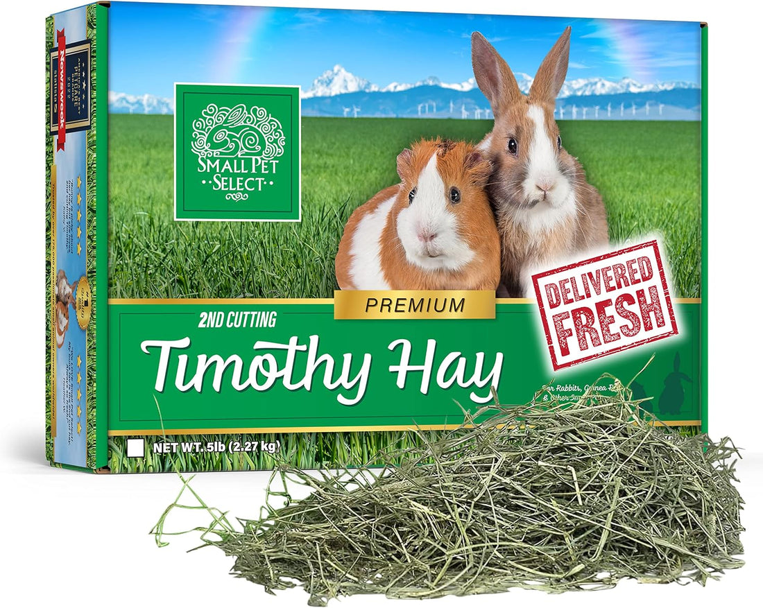 Small Pet Select 2nd Cutting Perfect Blend Timothy Hay Pet Food