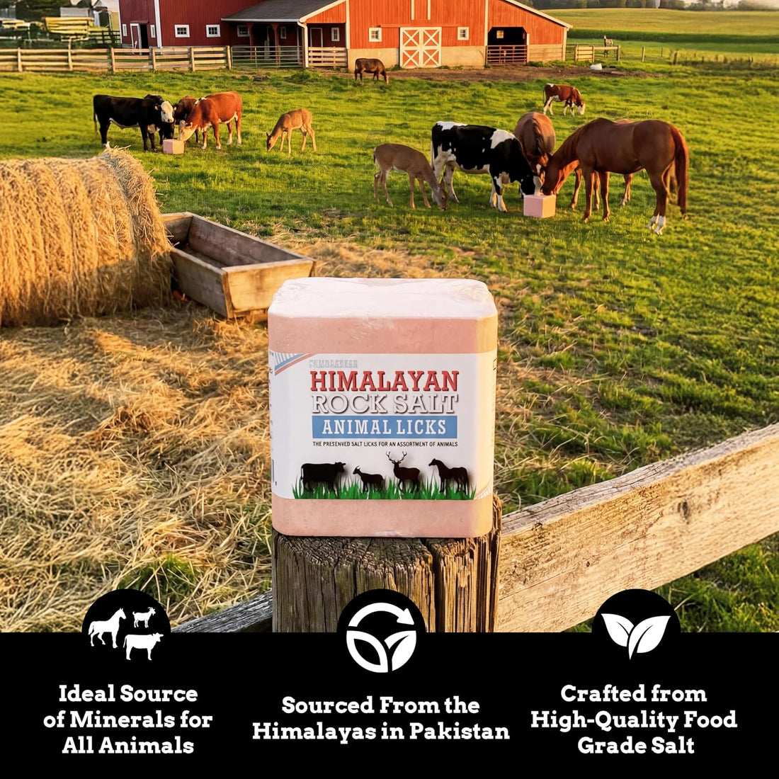 Himalayan Secrets Compressed Salt Lick for Livestock & Wildlife, 11 lb