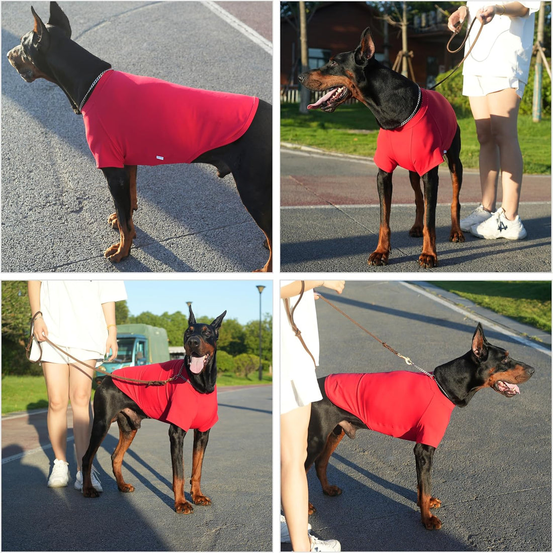 Premium Yoga-Fabric Dog T-Shirt – Breathable, Stretchy
