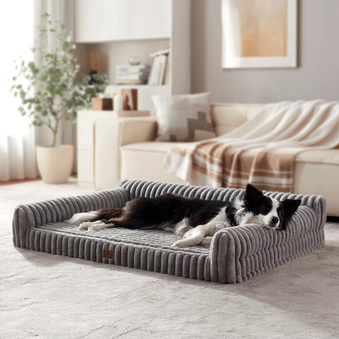 Orthopedic Dog Bed Large 35x25x9.5” Washable Cover