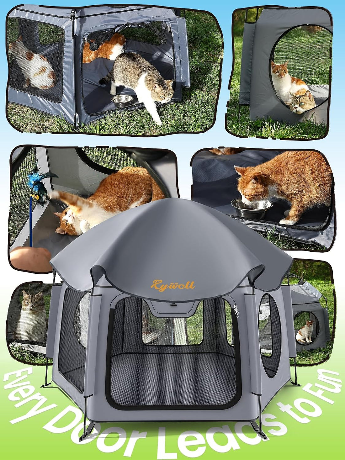 Catio Outdoor Cat Enclosure, Rywell 55” Extra Large Catio Pop Up