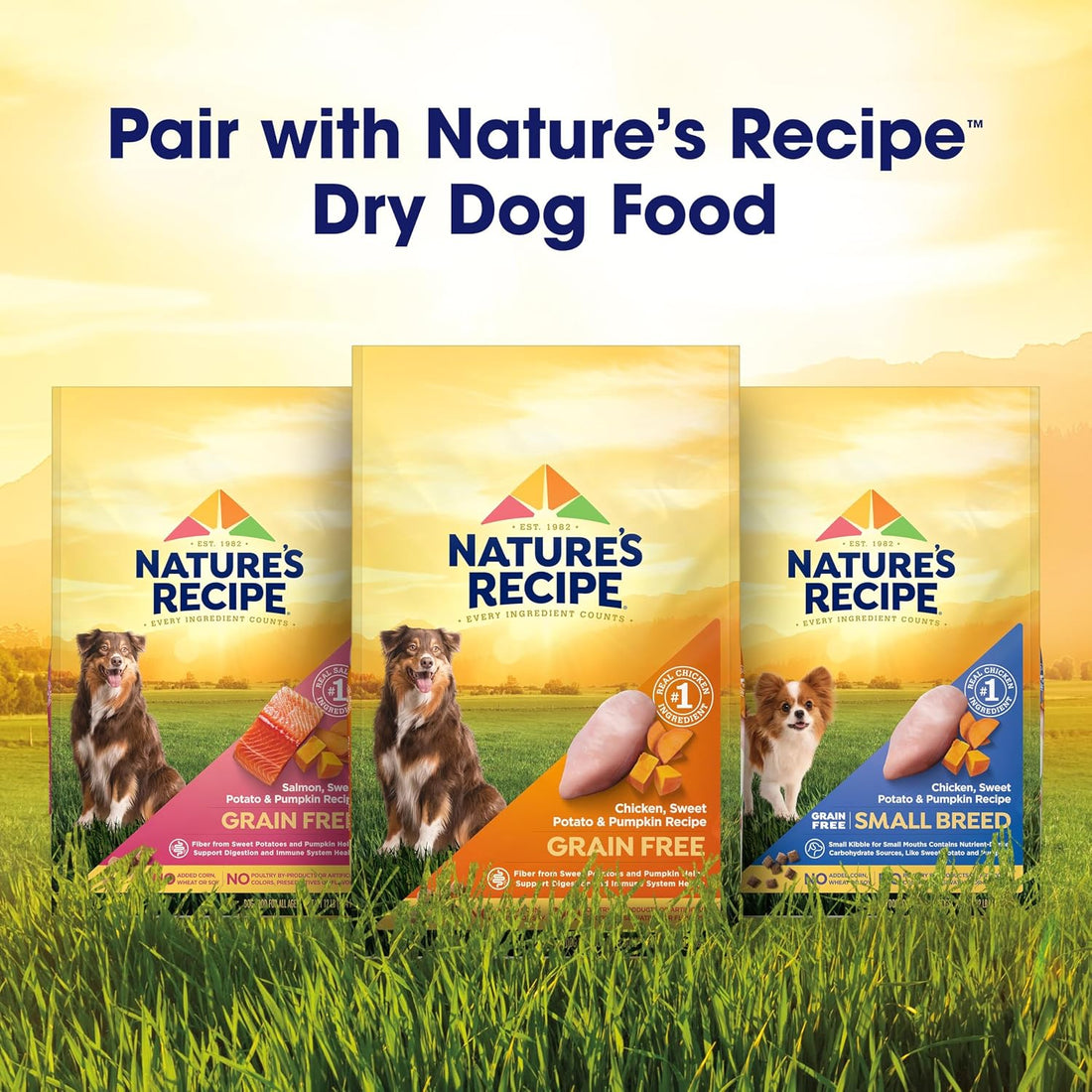 Nature’s Recipe Chicken, Salmon and Turkey Recipes Variety Pack Wet