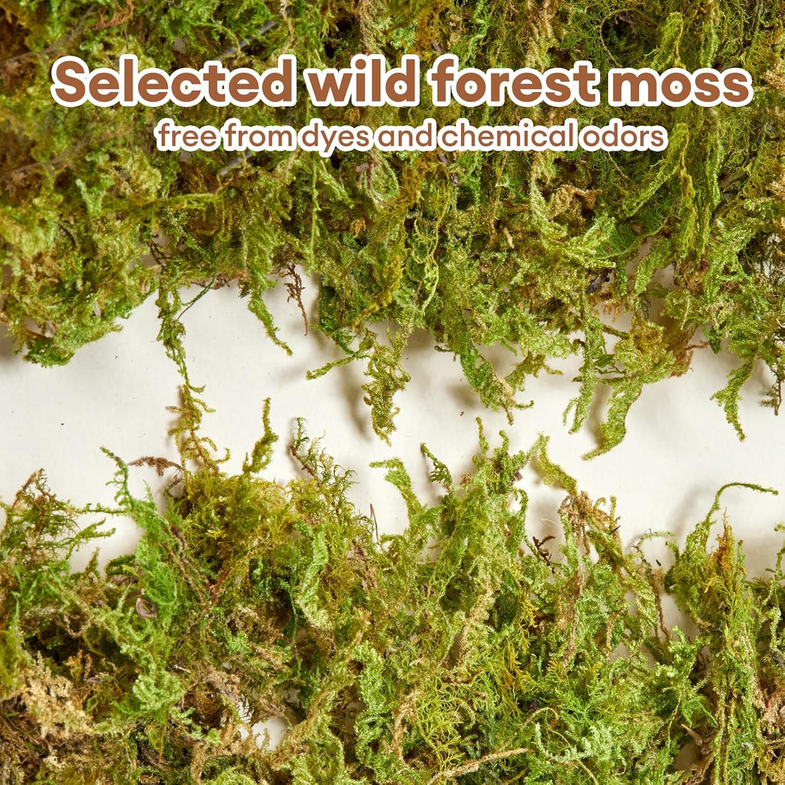 BUCATSTATE 5L Hamster Bedding, Natural Forest Moss Odor Control