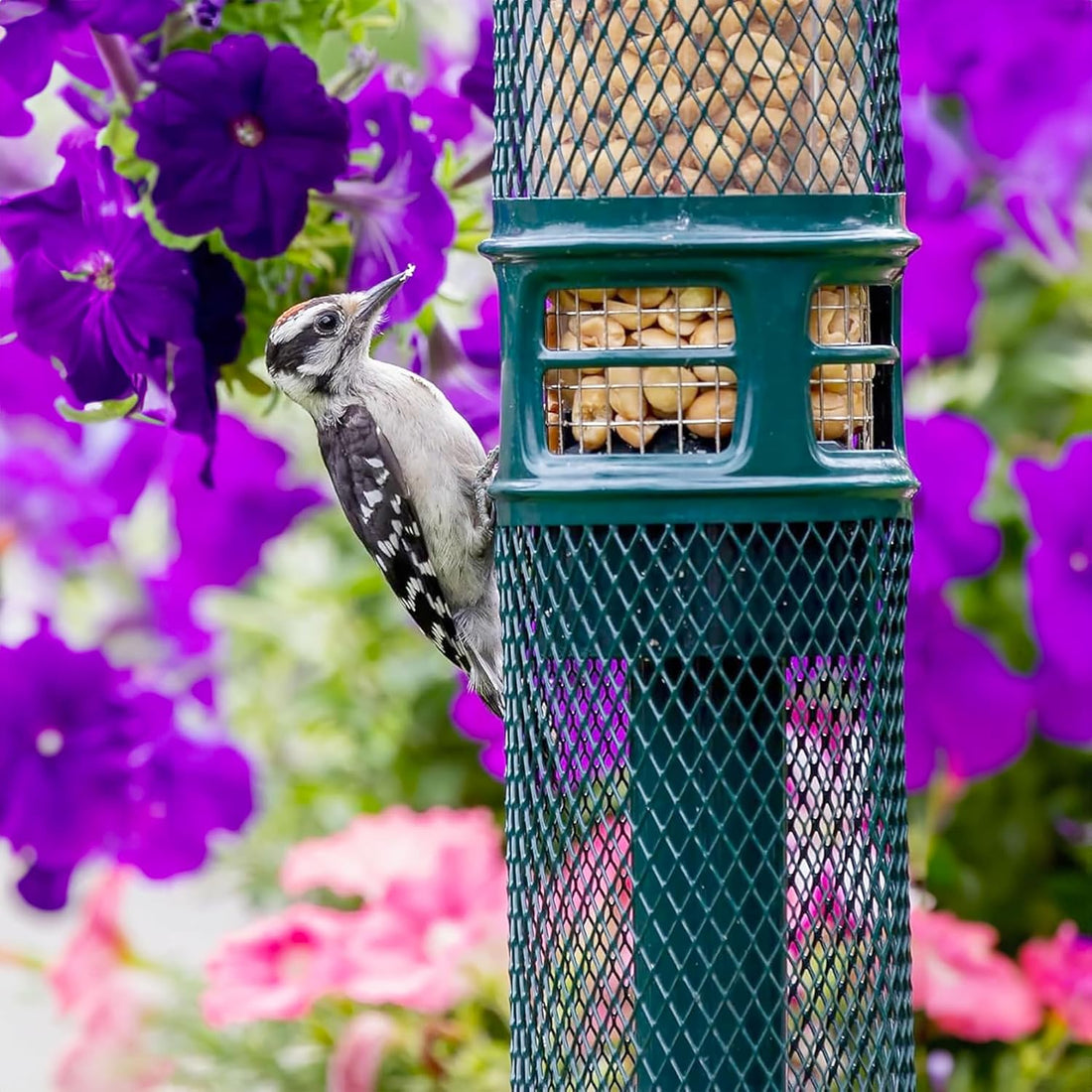 Squirrel Buster Nut Truly Squirrel-Proof Bird Feeder