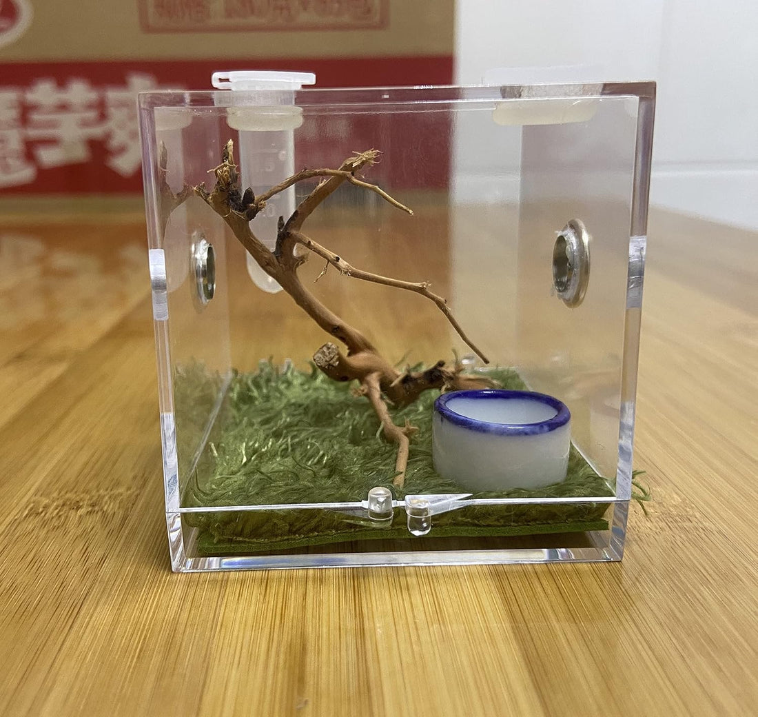 AWXZOM Spider Terrarium, Acrylic Reptile Breeding Box Jumping Spider