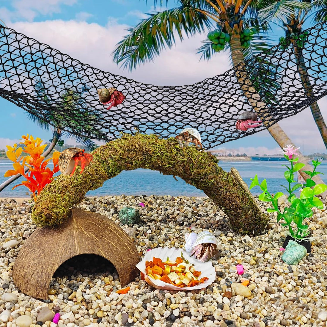 8PCS Hermit Crab Accessories Climbing Toys Hammock & Coconut Shell
