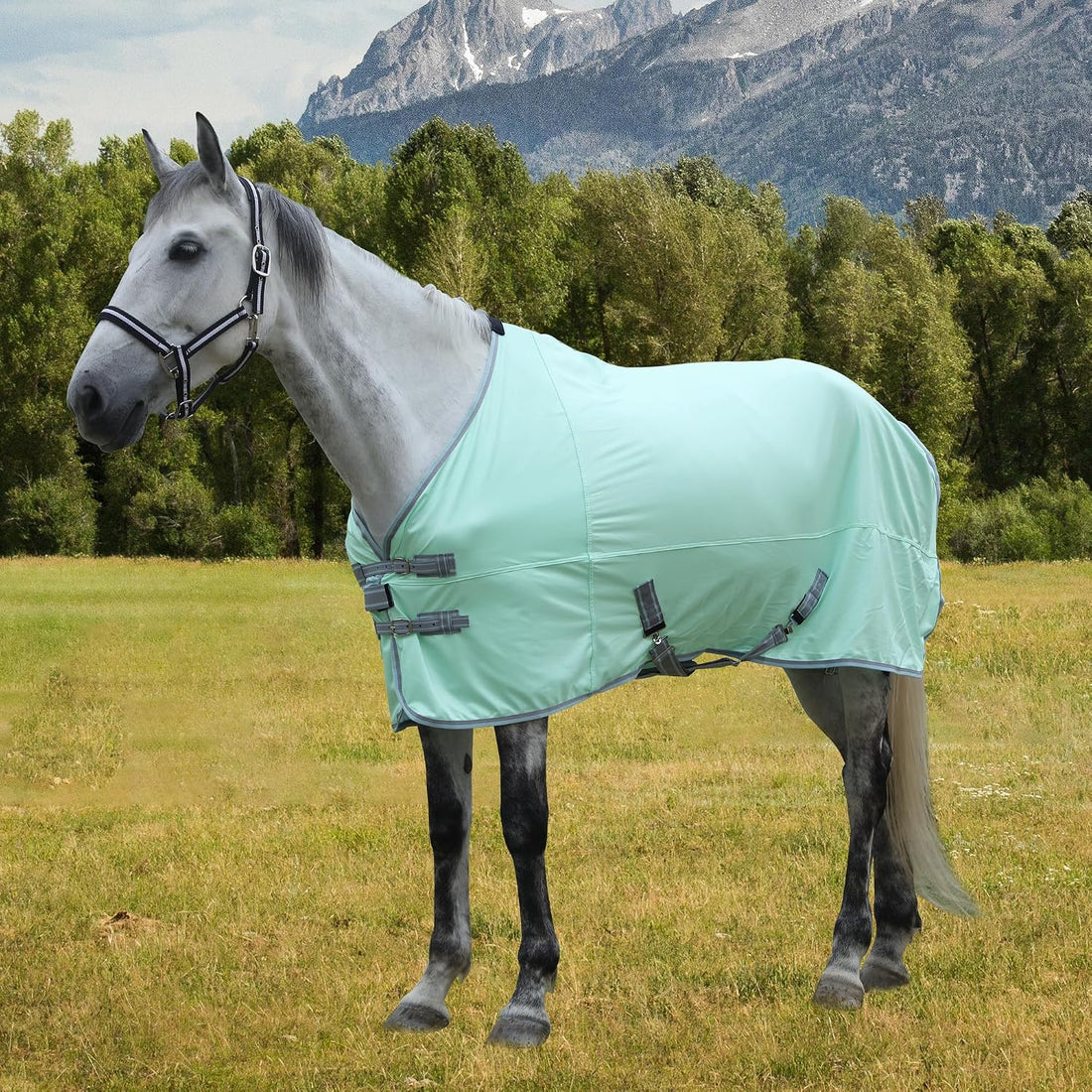 Horse Fly Sheet Lining, Mesh Equine Sheets Fly Rug, UV Protection
