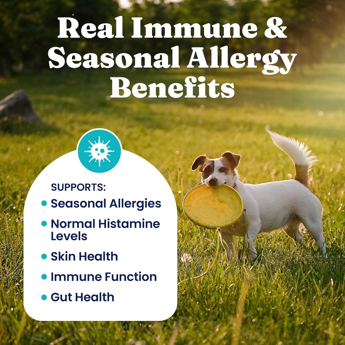Solid Gold Dog Allergy Relief Chews