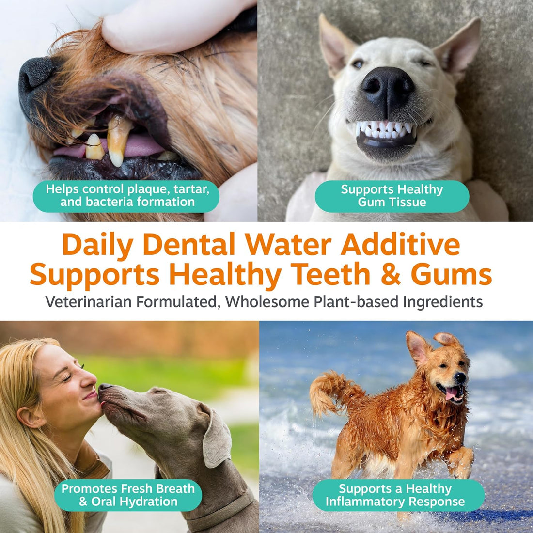 Zesty Paws Clean Breath Dental Chews for Dogs - Peppermint, 120 Ct