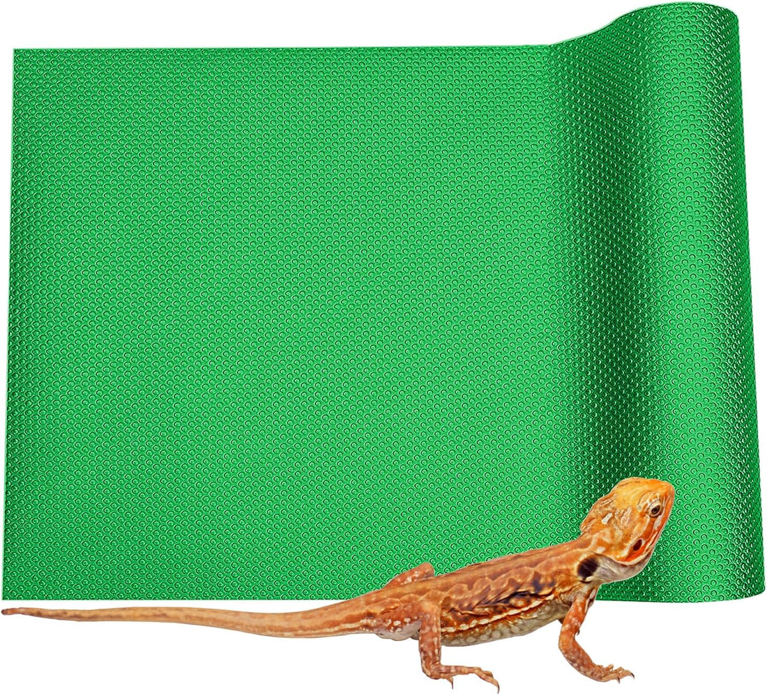Bearded Dragon Tank Accessories