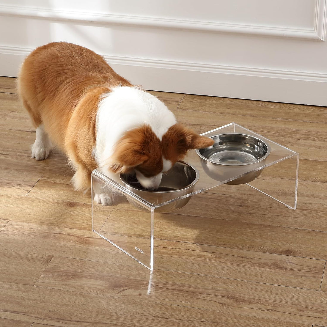 THE LICKER Store DBL2001A Keaton 7.5" Medium/Large Modern Lucite