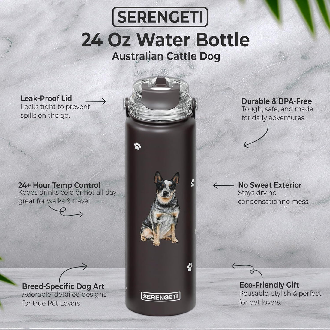 SERENGETI 24 Oz Water Bottle Stainless Steel with Spill Proof Lid