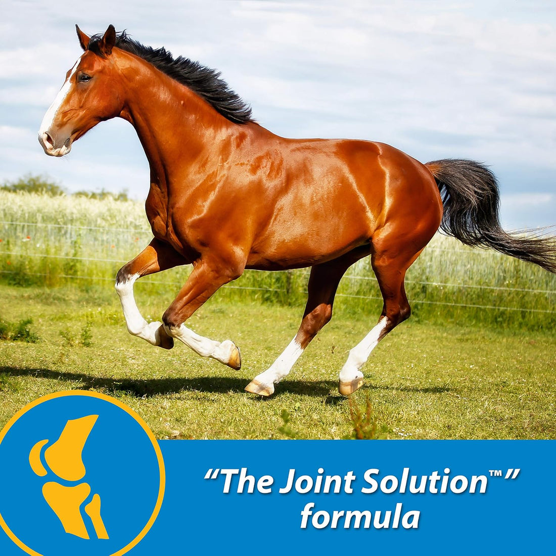 Farnam Fluidflex Glucosamine Joint Supplement for Horses, 32 oz.